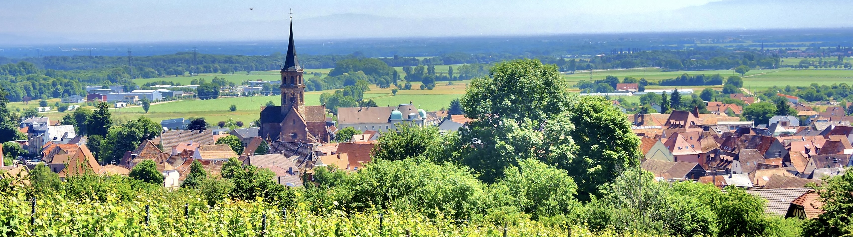 ALSACE copie